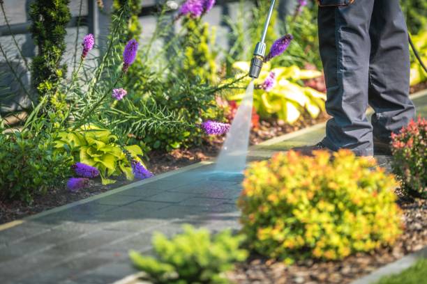 Best Pre-Holiday Cleaning  in Troy, PA